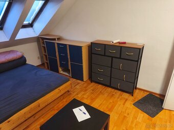 2+1 zařízený, 12.000 Kč i s energiemi, cizinci nevadí. Volný - 13