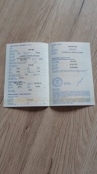 Quicksilver Activ 555 - 13