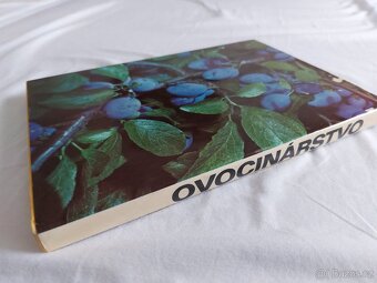 Ovocinárstvo - Oto Schuchman - 13