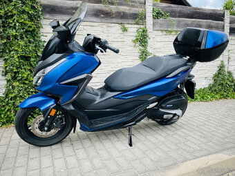 Honda Forza 125 r.v.2023 najeto 6tis km - 13