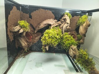 Terarium 60x45x45 - 13