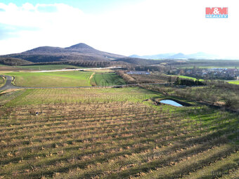 Prodej ovocného sadu, 40027 m², Chotiměř - 13