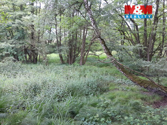 Prodej louky, 19732 m², Oselce - 13