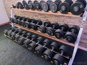 Profi pevné jednoruční činky 2,5-100kg NOVÉ - 13