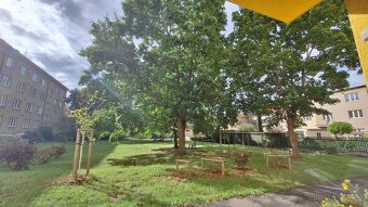 Byt 2+1, 66 m2,  Benešovo nám., Pardubice - 13