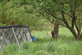 Rodinný dům na polosamotě u Krakovce , 140 m², pozemek 8.335 - 13