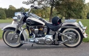 Harley Davidson - 13