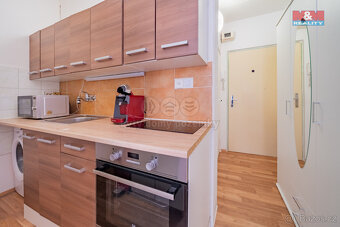 Pronájem bytu 1+kk, 19 m², Aš, ul. Dobrovského - 13