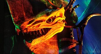 65" Samsung QE65Q7FN 100/120Hz QLED HDR PIP Dvojitý tuner - 13