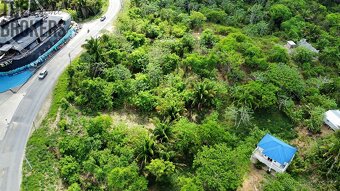 Isery Main Road, Roatan - 13