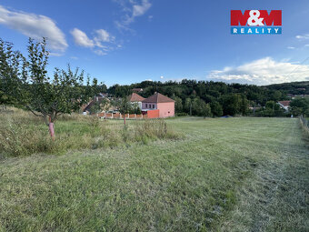 Prodej pozemku k bydlení, 7835 m², Borkovany - 13