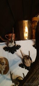 Keramika, Placatka, retro dóza, Aromalampa, obrázky, od 20kč - 13