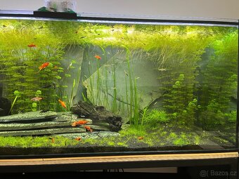 Akvárium cca 900litrů - 13