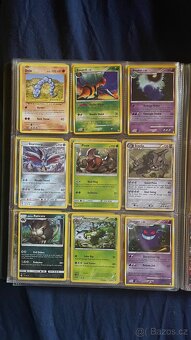 Pokémon album - 13