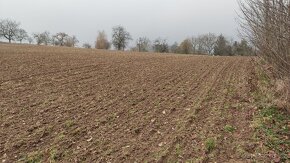 Investiční pozemky k prodeji - orná půda - 13