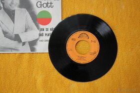 Vinylové desky a kazety Karel Gott + kniha zdarma - 13