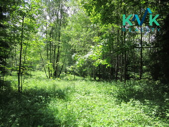 Prodej pozemku o velikosti 3 489 m2, v OV, Tisová u Nejdku - 13