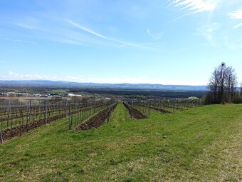 Prodej vinohradu 4114 m², Bzenec - 13