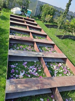 Suchozemské želvy, rozvoz po ČR, terárium - 13