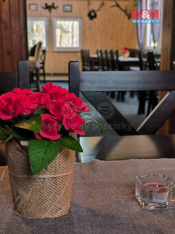 Prodej restaurace, stravování, 330 m², Orlová, ul. Modřínová - 13