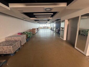 Pronájem obchodních prostor – 829,99 m² - 13