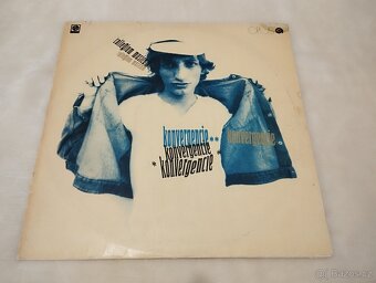 LP Vinyl od 280 Kč - 13