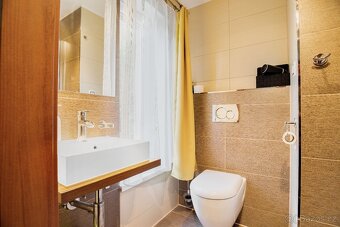Prodej chaty na pronájem i s profily Airbnb, Booking - 13