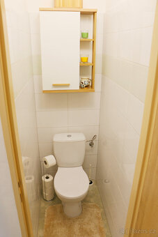 Pronájem bytu 2+1 se zahradou - 13