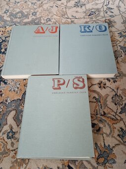 Odborná literatura: sbírky, památky, archeologie, dějiny měs - 13