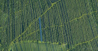 Prodám lesní pozemky v k.ú. Ločenice, p.č. 847 a 1201 - 13