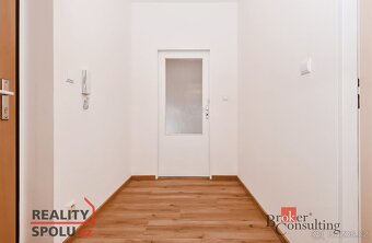 Pronájem, byty/1+kk, 53 m2, Trnkovo náměstí 1112/2, Hlubočep - 13
