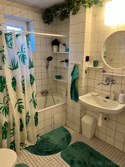 Pronájem bytu na Slovanech pro studentku v řadovém domě - 13