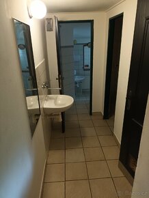 Pronájem nebytového prostoru v Boršově - 13