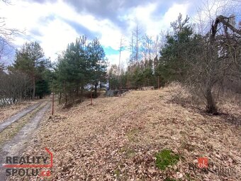 Prodej, domy/chata, 160 m2, Zátaví E125, 39701 Kestřany, Pís - 13