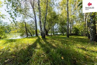 Prodej rybníku (vodní plochy) 5214 m2, Velké Bílovice - 13