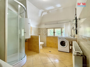Prodej rodinného domu, 1133 m², Písečná - 13