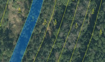 Lesní pozemky 24818 m², spoluvlastnický podíl 5/6, lokalita  - 13