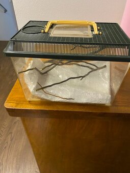 Terárium 4060100 - 13