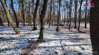 Prodej zemědělské usedlosti, 1150 m², Přerov nad Labem - 13