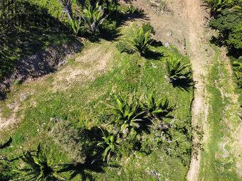 Falcon Valley Lot#7 Santos Guardiola, Roatan - 13
