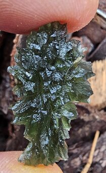 Vltavíny Besednice - 13