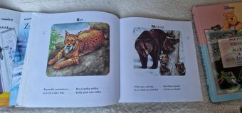 NÁDHERNÉ DĚTSKÉ KNÍŽKY OD 50KČ, NOVÉ, PC VYSOKÁ - 13