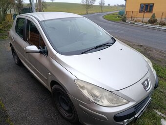 Peugeot 307 - 13