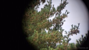 Dalekohled Champion COATED OPTICS 8x30 - 13