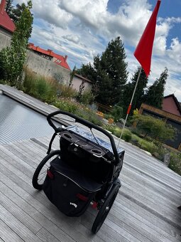 Thule Chariot Sport 2 - 13