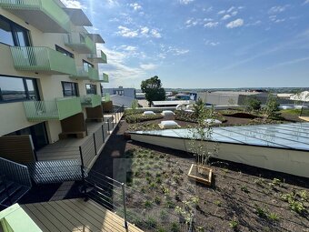 Pronájem byty 1+kk, 35 m2 - Znojmo, ev.č. N08017 - 13