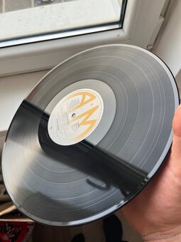 Soundgarden – Badmotorfinger - 13