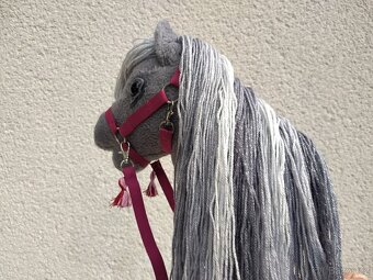 Hobby horse - 13