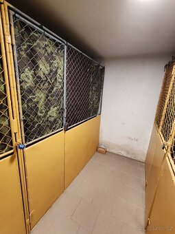 Prodej bytu 3+kk 65 m², Jemnice, U Víta - 13