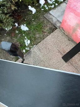 Lyźe Rossignol Hero ELITE ST - 162cm - 13